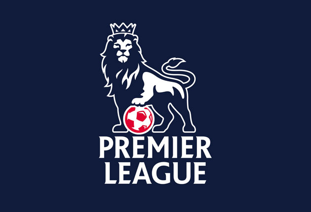 的美国游泳 的美国游泳